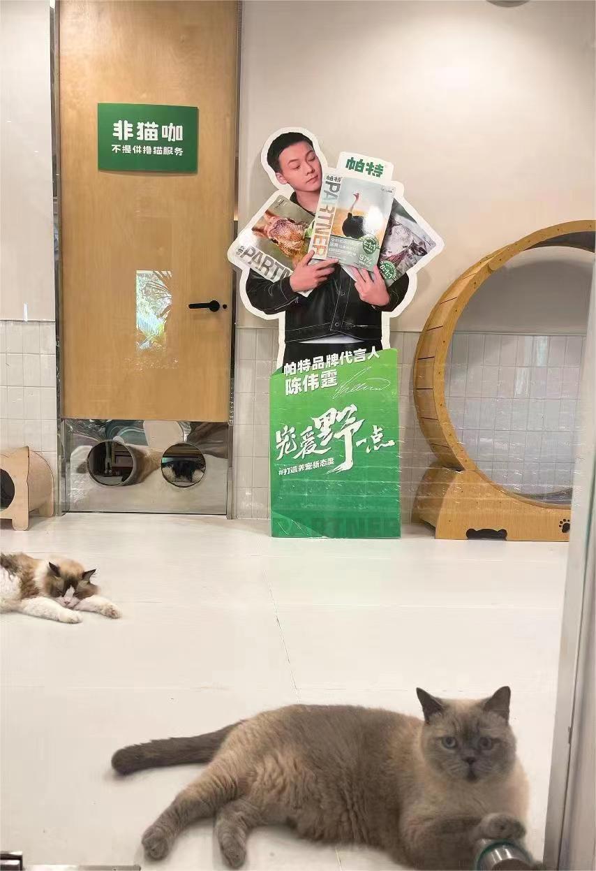 陈伟霆所代言猫粮品牌被罚96万