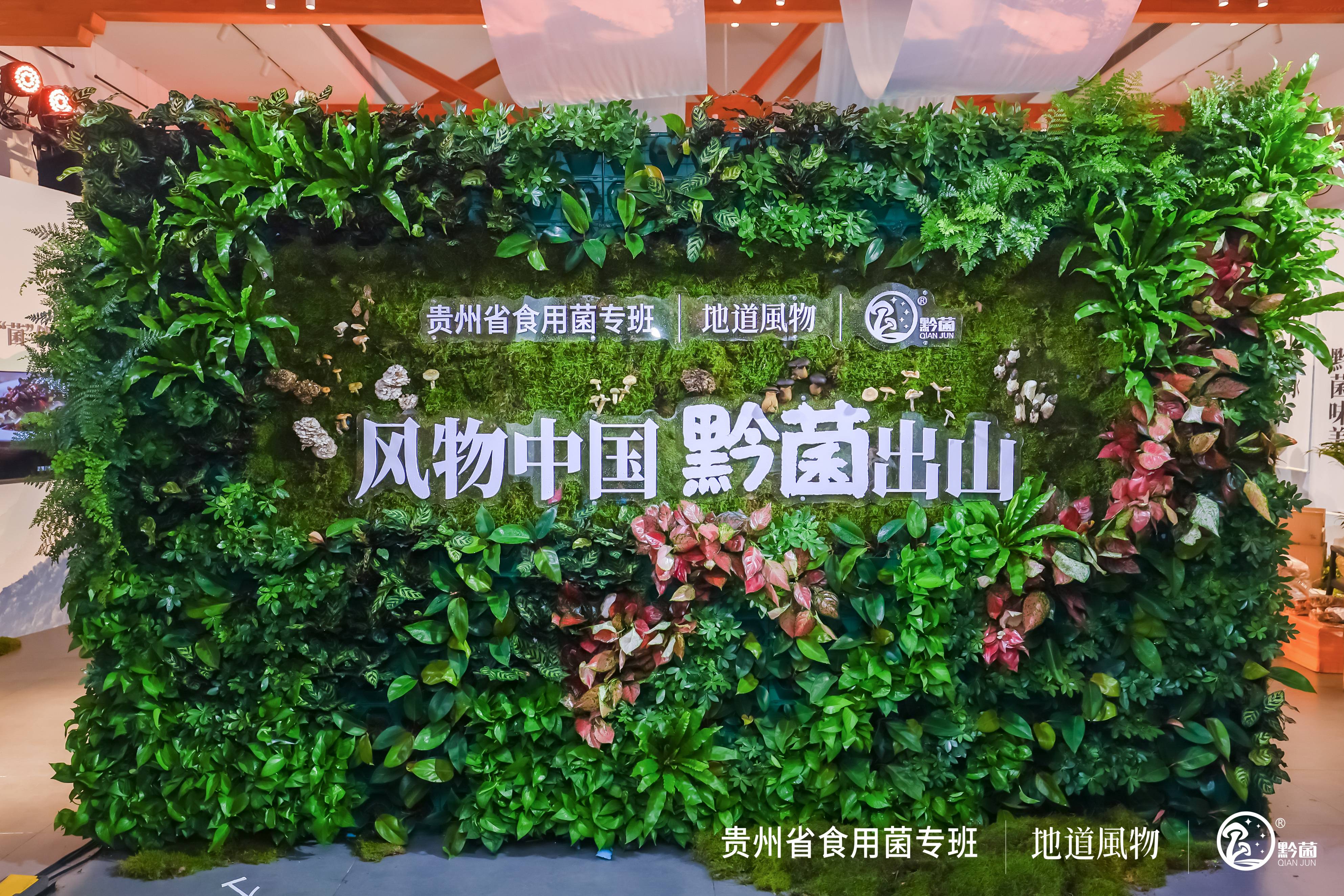 “风物中国·黔菌出山”，贵州省农产品公用品牌“黔菌”北京推介会正式举行