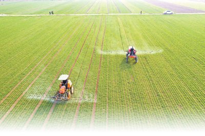 农业农村部要求落实政策措施 确保早稻面积恢复增加