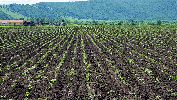 农业农村部、财政部联合发文 1.4亿亩黑土地将得到“保养”
