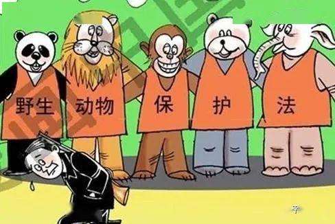 北京警方严打涉野生动物违法犯罪 破案32起